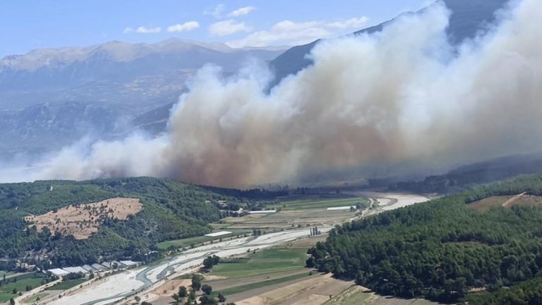 Orman yangınlarıyla ilgili 15 tutuklama