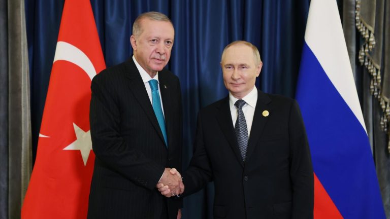 Cumhurbaşkanı Erdoğan: Akkuyu Santrali'nin bitim dönemine girmiş vaziyetteyiz