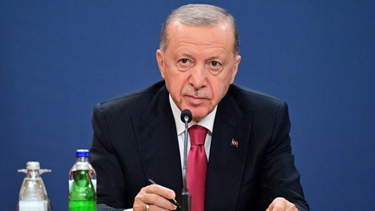 Cumhurbaşkanı Erdoğan: Dünyada huzur ve istikrar için çalışmaya devam ediyoruz