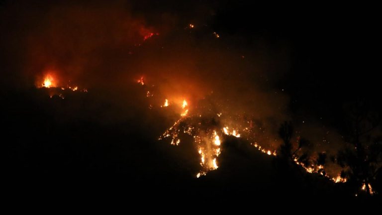 WMO: Orman yangınları ve sıcaklar, küresel hava kalitesini iyileştirme çabalarını baltalama riski taşıyor