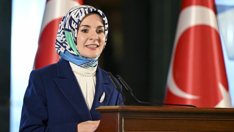 Bakan Göktaş: Suriye'de Türkiye'nin koruyucu aile modeli uygulanmaya başlandı