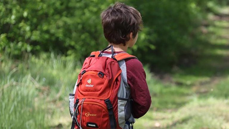 Avrupa'da eğitim krizi: PISA sonuçları tarihin en düşük seviyesinde