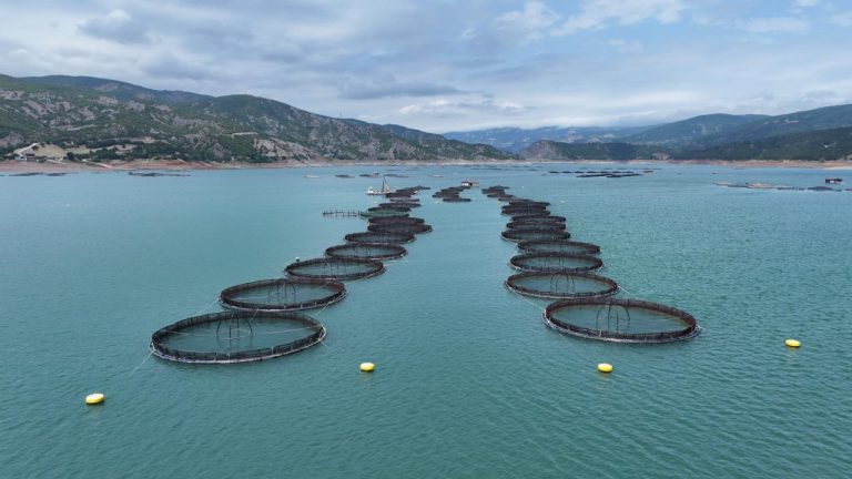 IPARD III kapsamında 95 projeye 1,2 milyar lira hibe