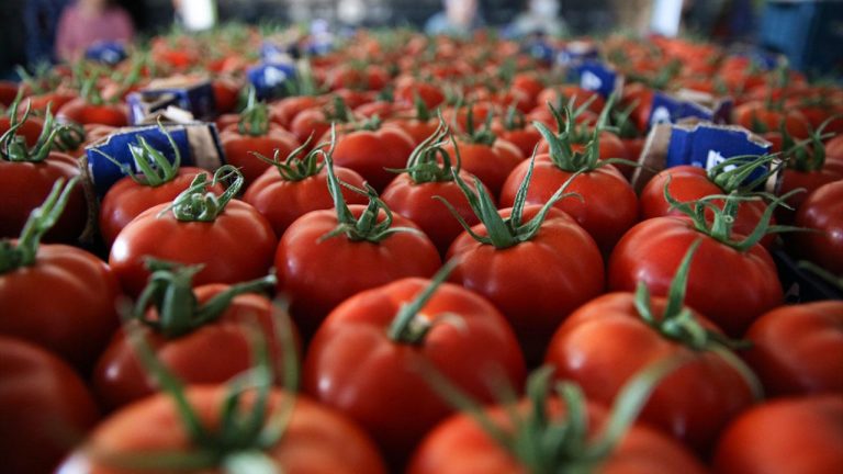 Yaş sebze ihracatı 9 ayda 822 milyon dolara ulaştı