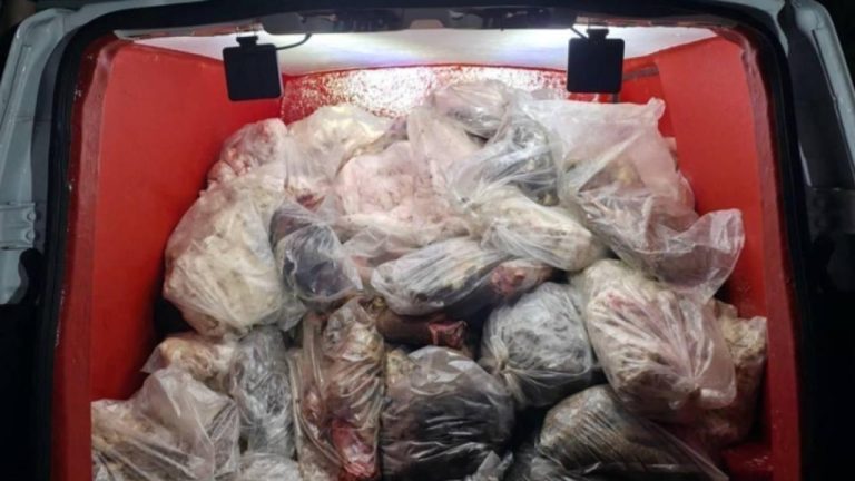 Diyarbakır'da sağlıksız 820 kilo iç yağı ve sakatat ele geçirildi